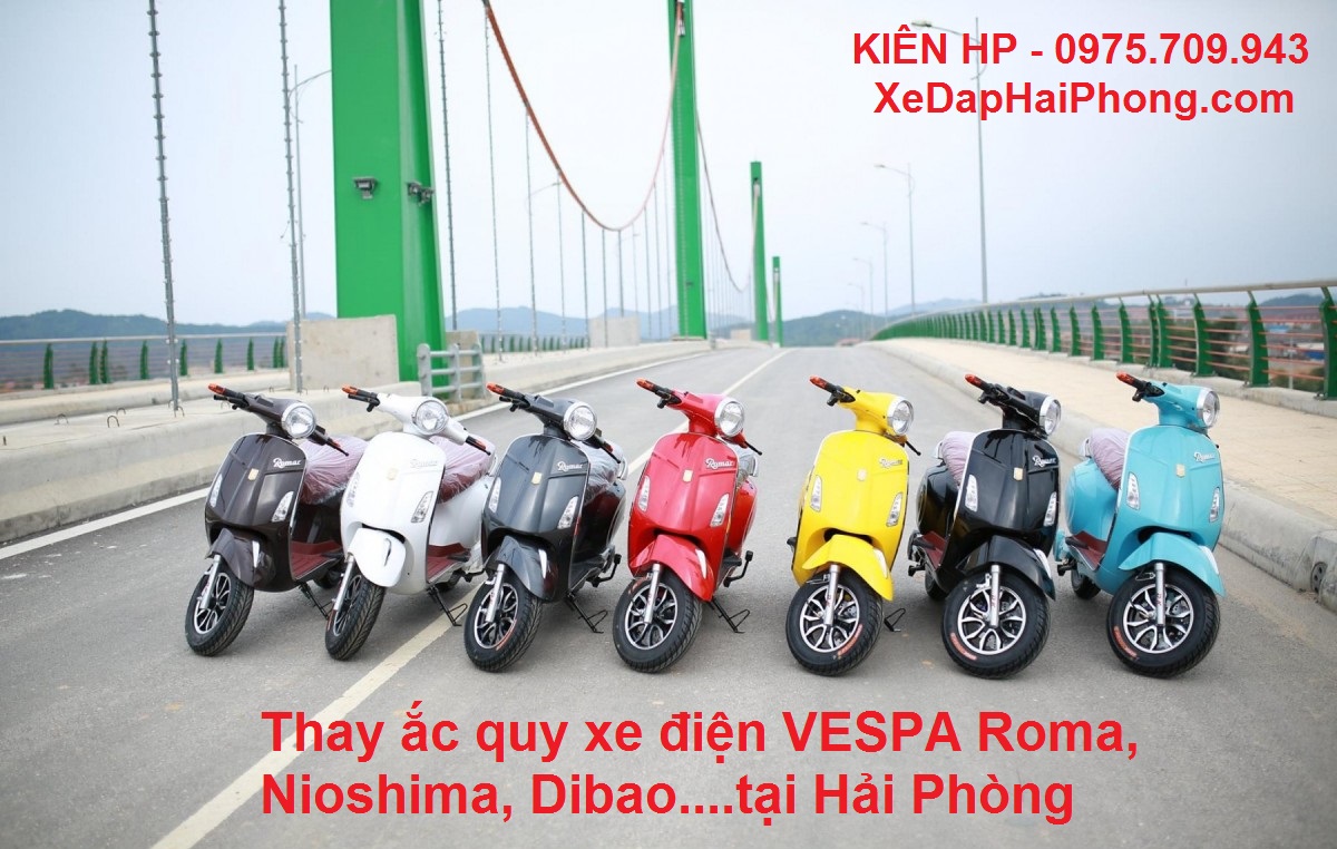 Thay ắc quy xe điện VESPA Roma, Nioshima, Dibao...tại Hải