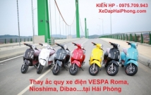 Thay ắc quy xe điện VESPA Roma, Nioshima, Dibao...tại Hải Phòng