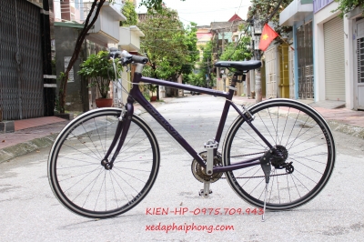 xe đạp thể thao GIANT escape bán tại xe đạp Hải Phòng